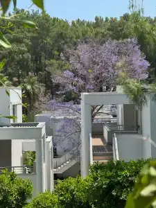 Royal Diwa Tekirova Resort - Ultra All Inclusive - 40