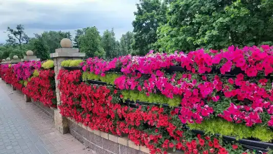 Апарт отель Семашко - 12