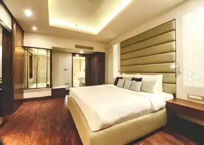 Howard Plaza The Fern, Agra - 4