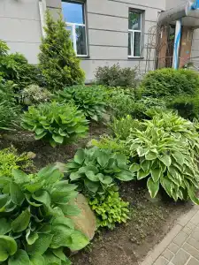 У Фонтана - 27