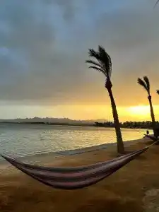 Palm Royale Resort - Soma Bay - 76