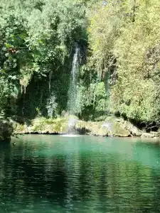 Eldar Garden Resort - 30