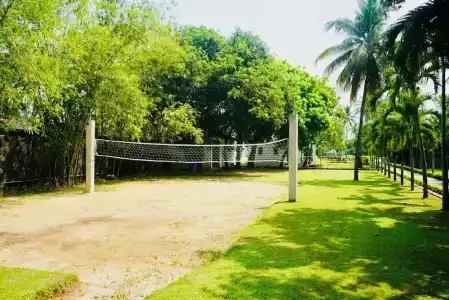 Amaluna Resorts - 29