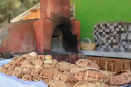 Dedeminn Garden - 45