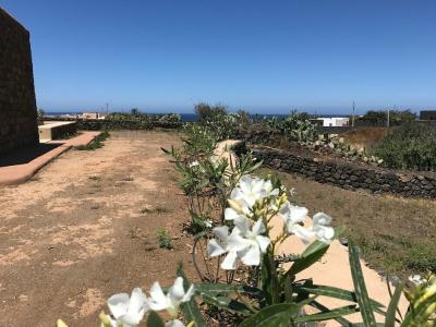 I Dammusini di Pantelleria - 2