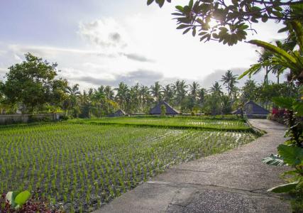 Alpin Resort and Villa Ubud - 24