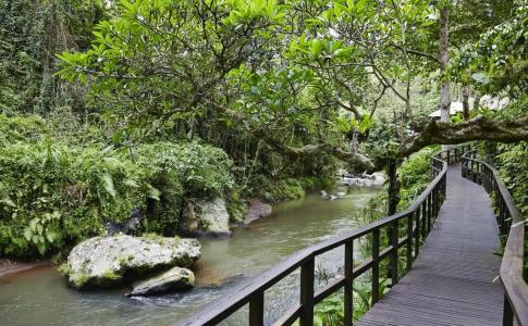 Maya Ubud Resort & Spa - 46