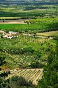 Kallikoros Country Resort & Spa - 28