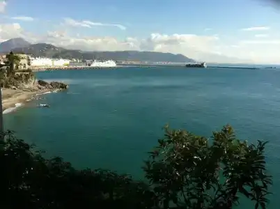 la Lucertola - 6