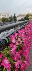 Апарт отель Семашко - 89