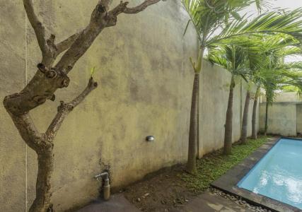 Graha Wedha Suite Kuta - 13