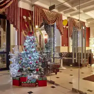 Bogemia on Vavilova Street - 18