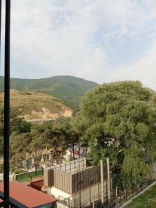 Gori Inn - 80