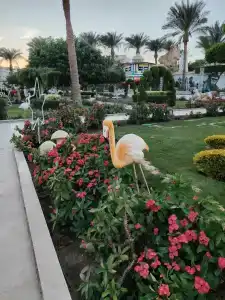 Seagull Beach Resort - Families and Couples Only - 42