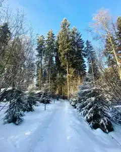Solontsovo - 16