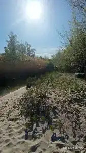 Malinka Guest House - 53