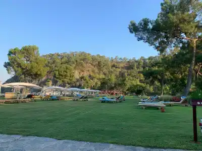 Robinson Camyuva - Adults Only - 85