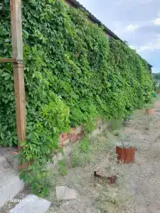 Tatarskiy etnograficheskiy kompleks Ak-Chishma Tourist base - 38