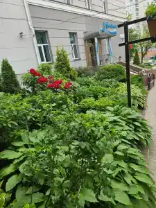 У Фонтана - 44