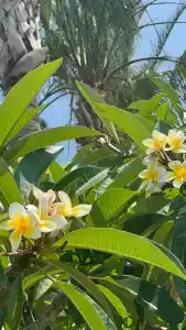 Sette Serenity - Adults Only - 11