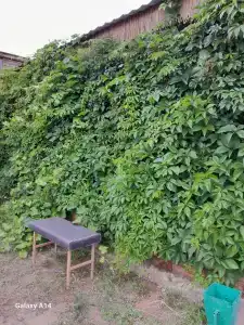 Tatarskiy etnograficheskiy kompleks Ak-Chishma Tourist base - 52