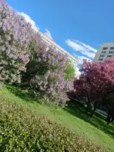 Akademicheskaya - 17