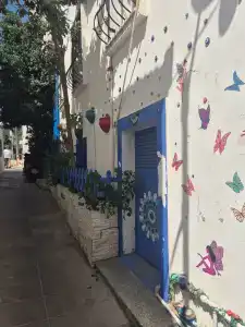 Club Cactus Fleur Beach - 44