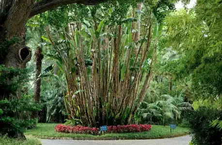 Parco dei Principi - 26