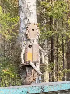 Vesna Tourist base - 42