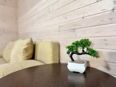 Uralskie Samotsvetyi - 14