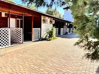 Uralskie Samotsvetyi - 12