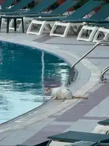 Marti la Perla - Adult Only+16 - 44