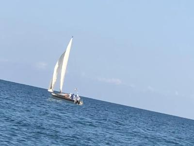 Limon - 16