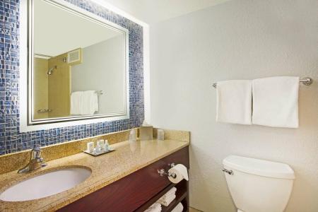 Wyndham Garden Lake Buena Vista – Disney Springs® Area - 17