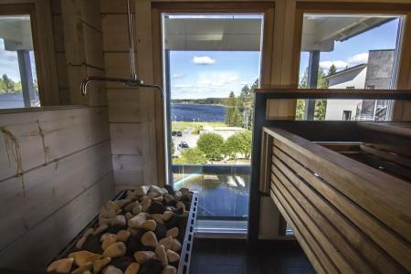 Vuokatin Aateli Studios - 41