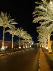 Charmillion Gardens Aquapark - 4