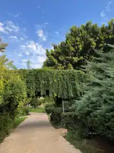 Belconti Resort - All Inclusive - 25