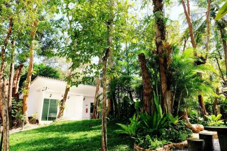 Whalecome Aonang Resort-SHA Extra Plus - 65