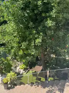 Baunti Guest house - 46