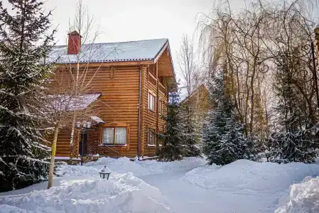 Orlovskoe Pomestie - 11