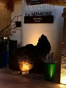 Le Mimose - 3