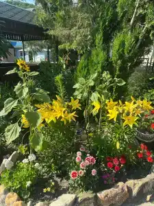 Sibiryachka - 83