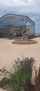 ОАЗИС домики - 62