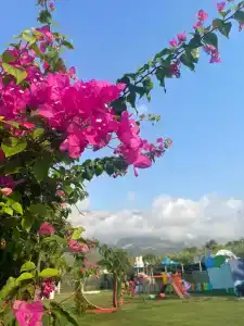 Armas Beach - 17