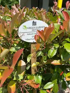 Green Garden Suites - 26