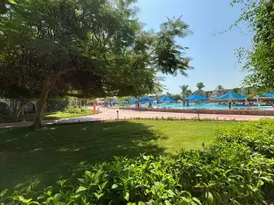 Desert Rose Resort - 28