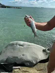 Grey House Recreation camp - 49