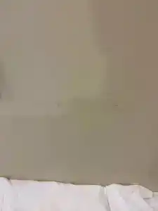 Smart NEO Ivanovo - 38