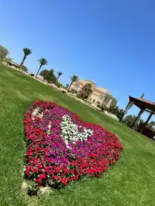 Palm Royale Resort - Soma Bay - 11