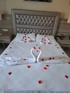 Green Nature Diamond - 30